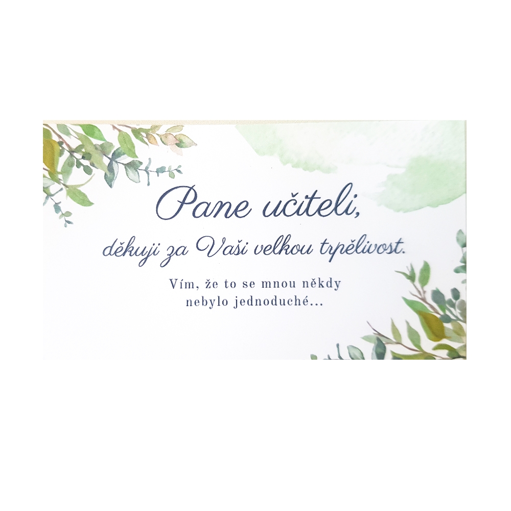 Děkovací kartička - Děkuji za trpělivost, pane učiteli